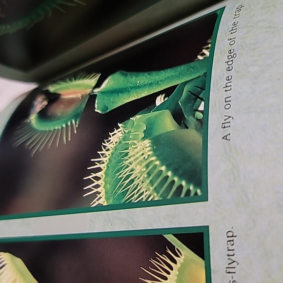 Special and Strange Unusual Plants Educational Reader Booklet Edition - Picture 3 of 4